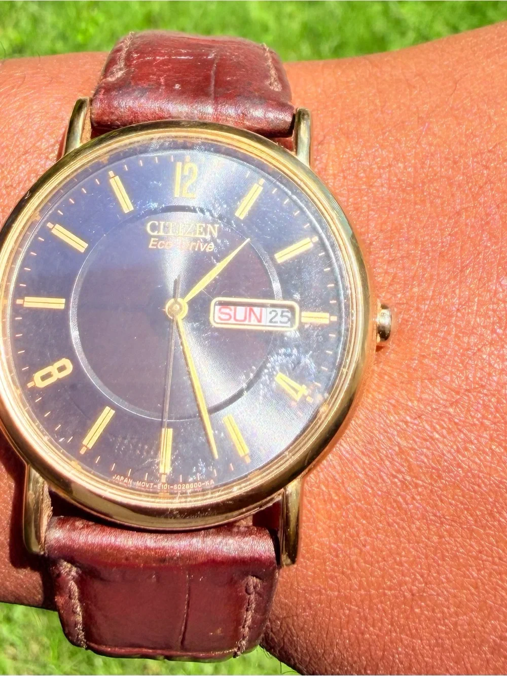 Citizen Gold-Tone Case Brown Dial Brown Leather Strap Watch